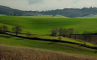 panoramic photo of green field photo taken during daytime HD wallpaper