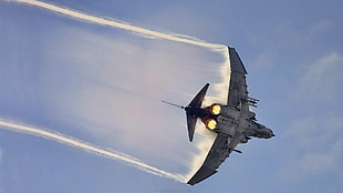 gray fighter jet, warplanes, F-4 Phantom II, Luftwaffe HD wallpaper
