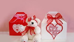white bear plush toy with box