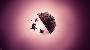 photo manipulation of trees and birds, abstract, 3D, birds, raven