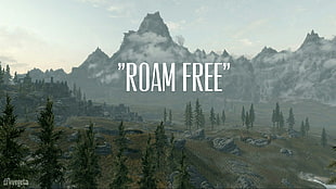 Roam Free wallpaper, The Elder Scrolls V: Skyrim, The Elder Scrolls, forest, video games