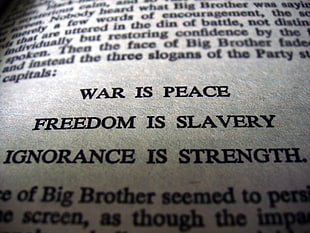 war is peace freedom is slavery ignorance is strength. text, 1984, literature, text HD wallpaper