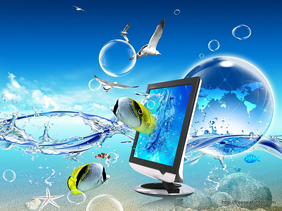black flat screen computer monitor HD wallpaper