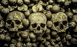 Sagrada Familia door, skull, bones HD wallpaper