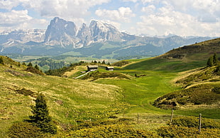 green grass field and mountain landscape photo