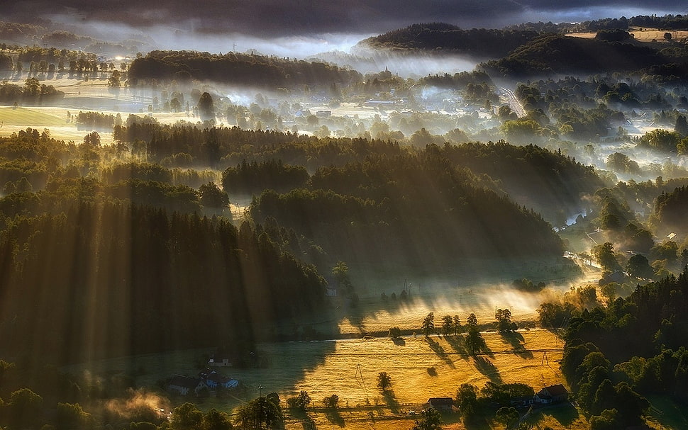 aerial view photo of valley, landscape, nature, sun rays, mist HD wallpaper
