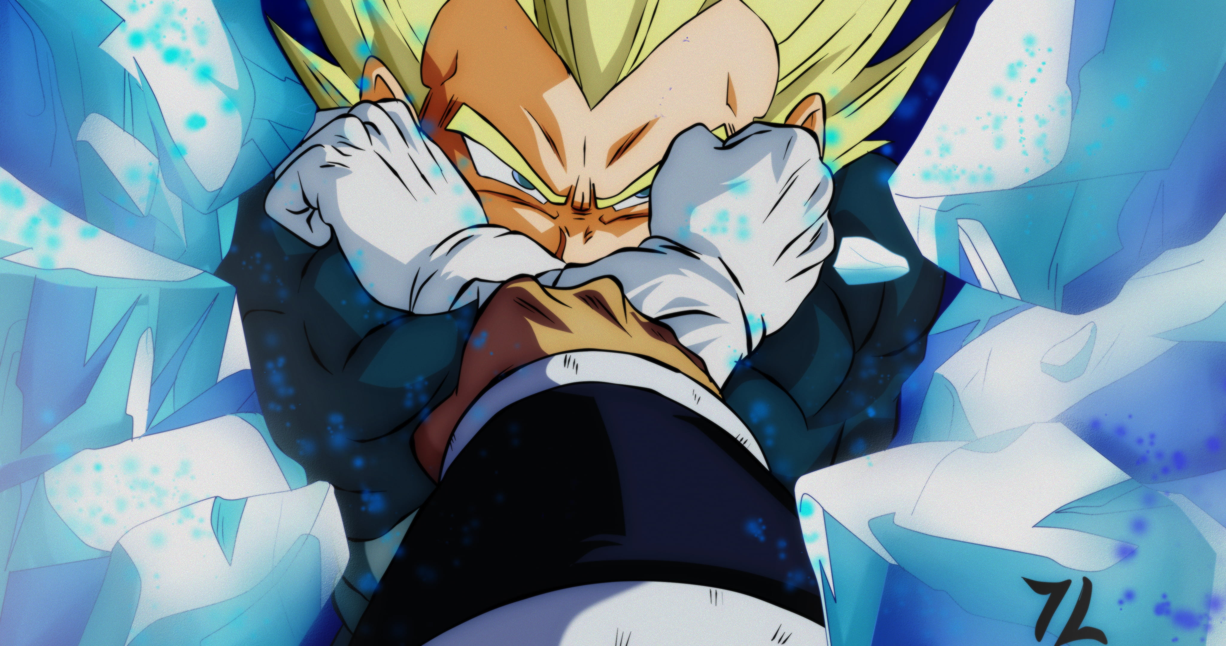 Dragon Ball Z Vegetta wallpaper, Vegeta, Broly, Dragon Ball, Dragon Ball Z