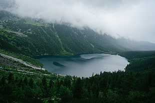 landscape photography of lake between mountains under cloudy sky, morskie oko