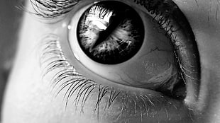 grayscale photo of person eye