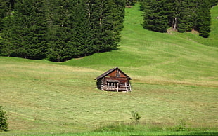 brown wooden house in the middle of green grass field
