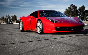 red Ferrari sports car, vehicle, Ferrari, red cars