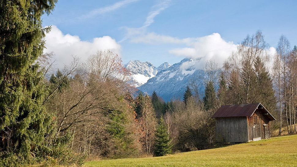 brown house, hut, trees, clouds, sky HD wallpaper