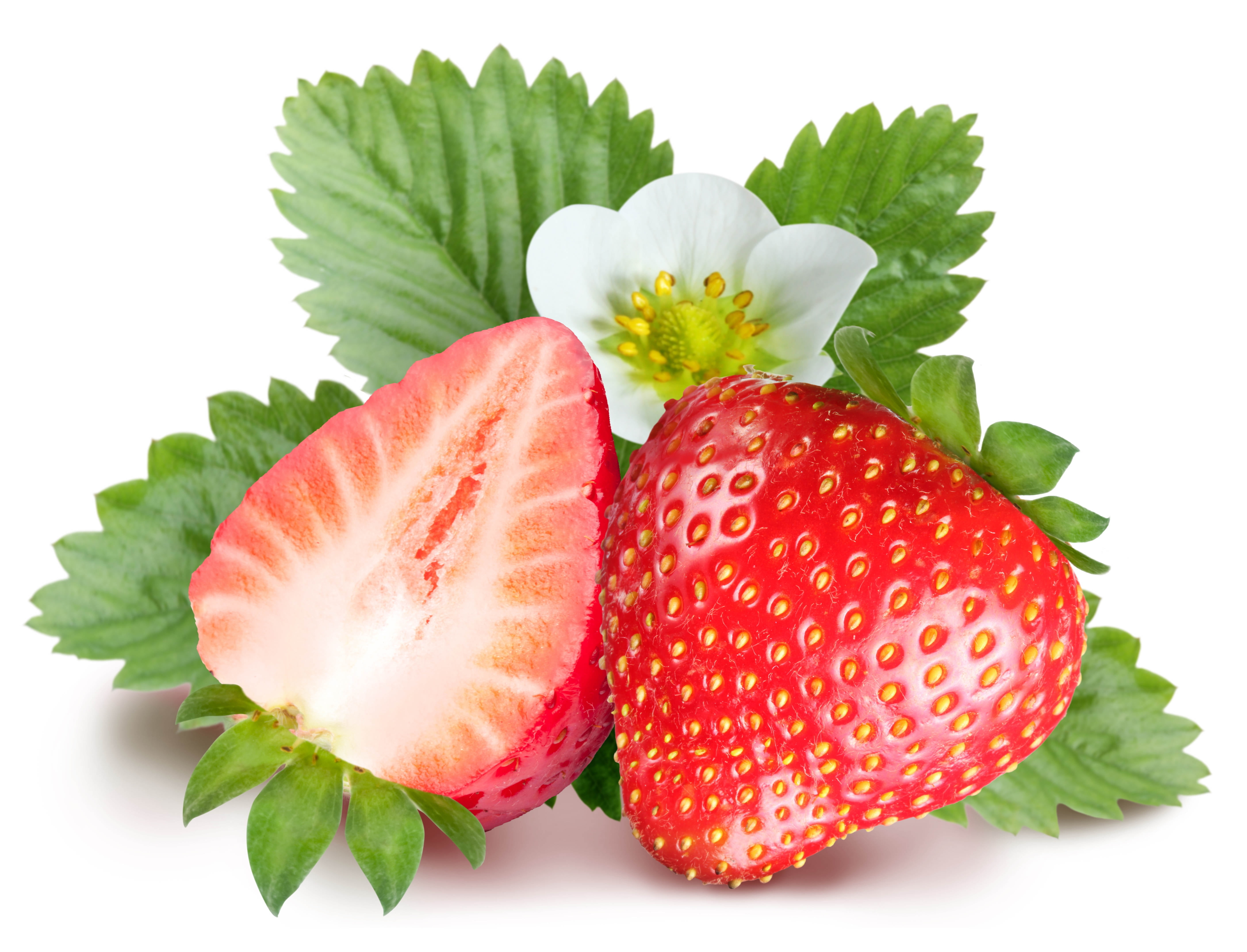 Strawberry vvxx