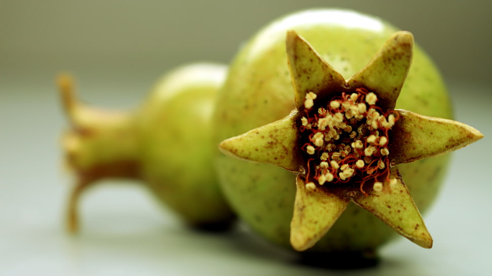 two round green fruits, nature, fruit HD wallpaper
