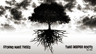 Storms make trees take deeper roots illustration, quote, trees, storm, roots HD wallpaper