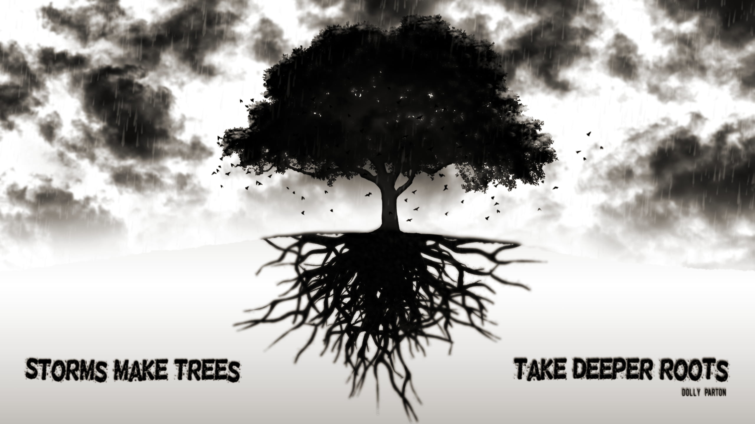 storms make trees grow deeper roots