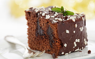 shallow focus photography of chocolate cake slice topped with mint