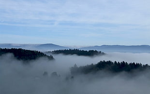 high rise mountain with fogs during daytime