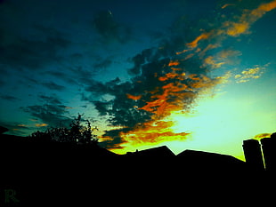 silhouette of trees, sunset, sunlight, sky, clouds