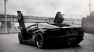 black sports car, car, Lamborghini