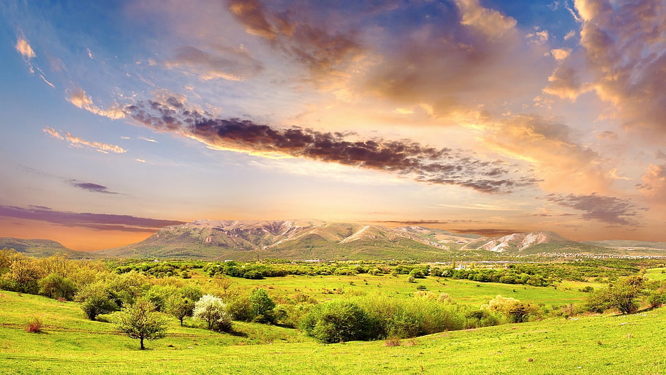 green field grass during day time HD wallpaper