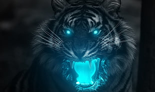 Tiger illustration HD wallpaper