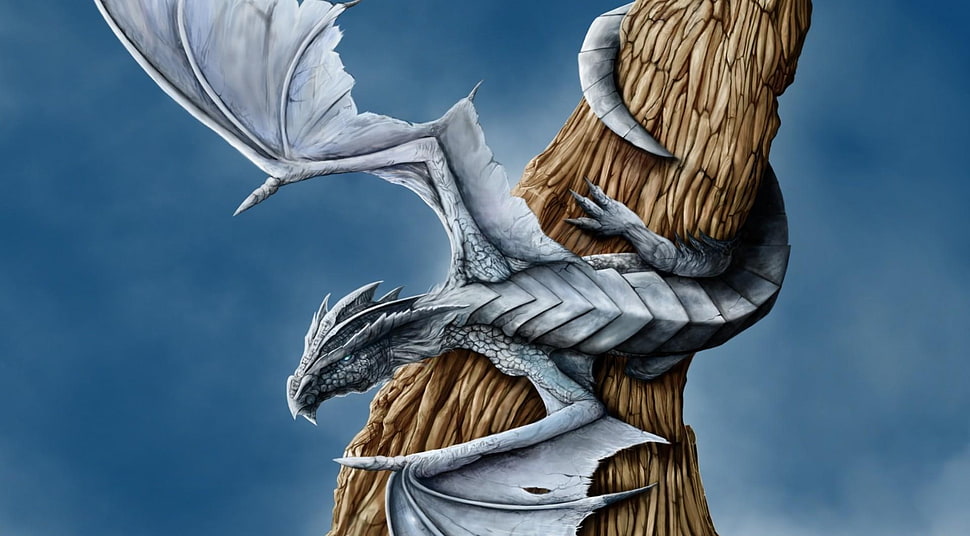 gray dragon cartoon illustration HD wallpaper