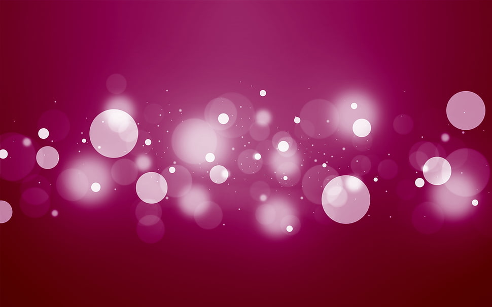 bokeh photography HD wallpaper