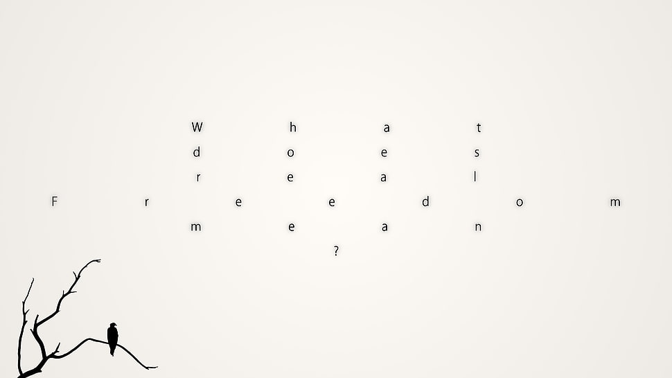 white background with what text overlay, writing, text, birds, simple HD wallpaper