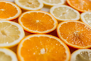 sliced citrus orange, Oranges, Slicing, Lemons HD wallpaper