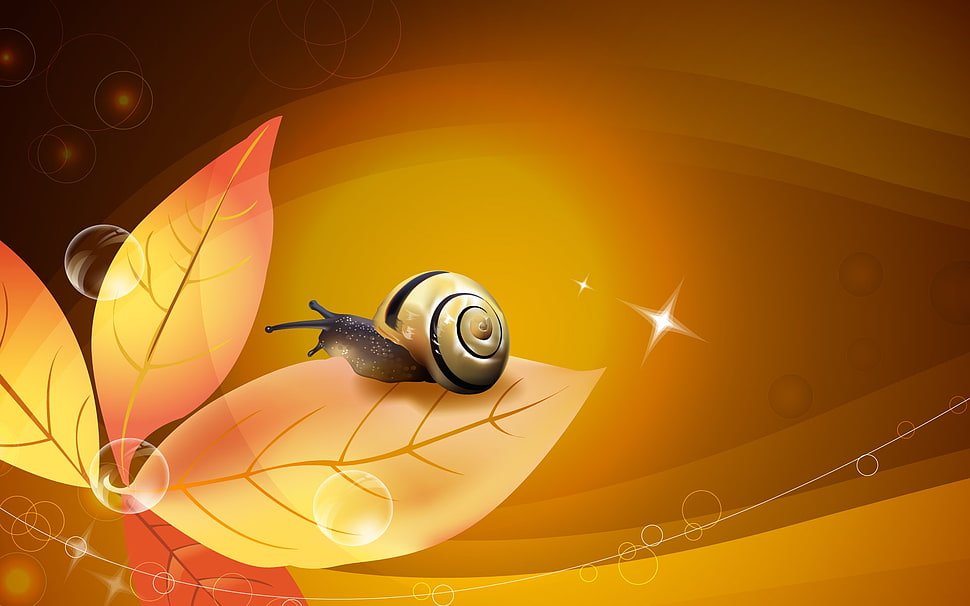 snail on beige leaf wallpaper HD wallpaper