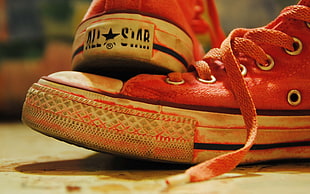 close up photography of red painted Converse All-Star shoe HD wallpaper