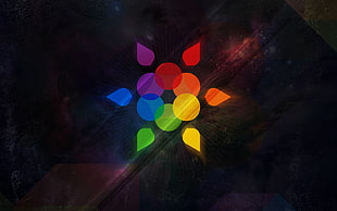 assorted color decor digital wallpaper