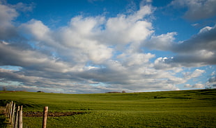 open field under white cloud blue sky