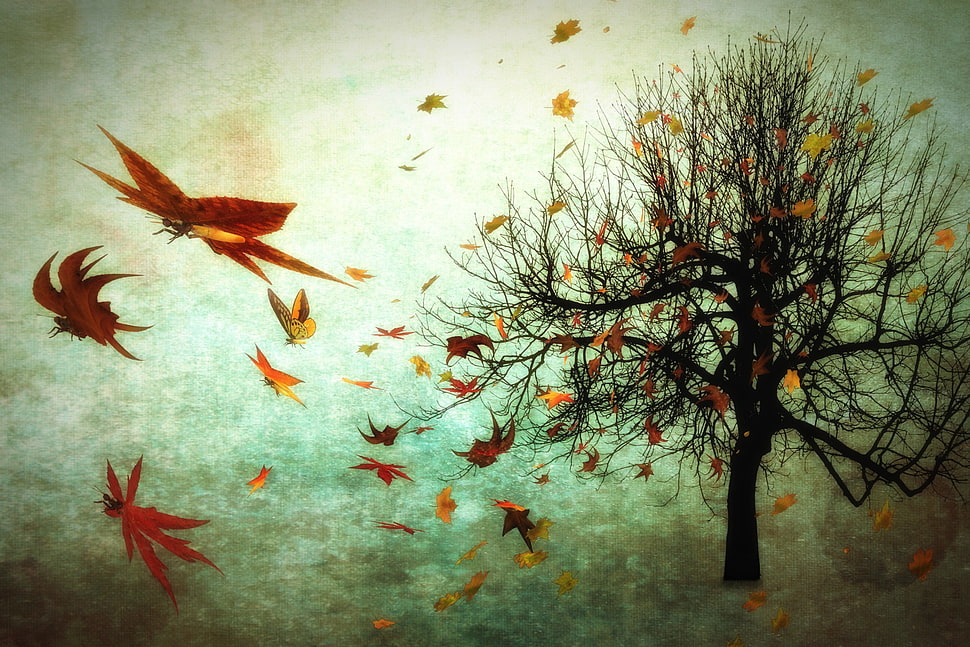 brown and green tree painting, photo manipulation, fall, trees HD wallpaper