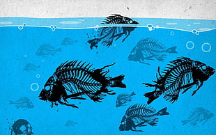 skeleton fish underwater sketch HD wallpaper