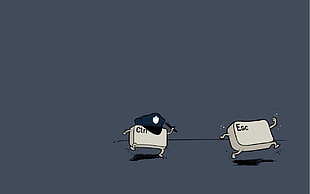 two white control and escape keyboard keys, threadless, simple, humor, computer HD wallpaper