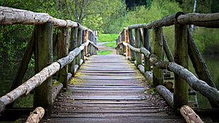 pathway through brown wooden bridge over calm river