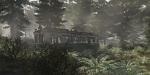 black and white train illustration, science fiction, forest