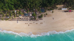 aerial photo of beach, nature, water, beach, house