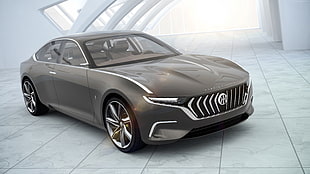 gray concept car