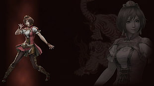 female character digital wallpaper, Dynasty Warriors 8, video games