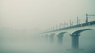 white concrete bridge, bridge, mist