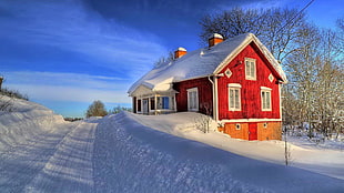 structural shot of red house on white snow field