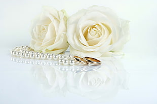 white rose with white pearl beaded necklace HD wallpaper