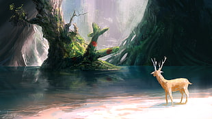 reindeer illustration, digital art, fantasy art, animals, deer