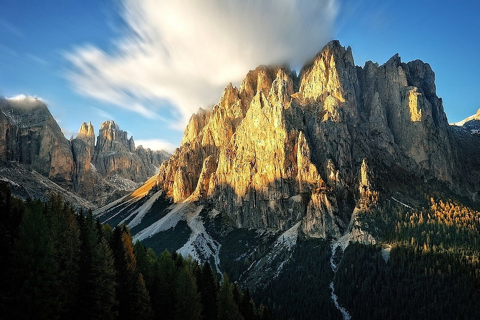 green leafed pine trees, mountains, forest, clouds, cliff HD wallpaper