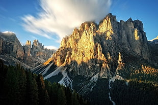 green leafed pine trees, mountains, forest, clouds, cliff