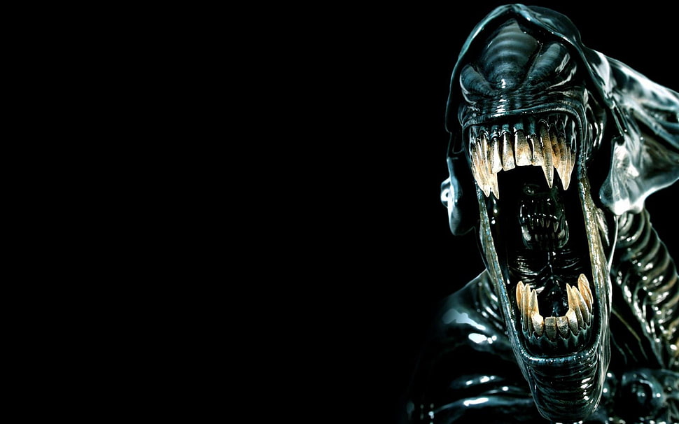 Xenomorph wallpaper HD wallpaper