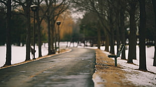 concrete road during daytime, winter, alleyway, bench, park